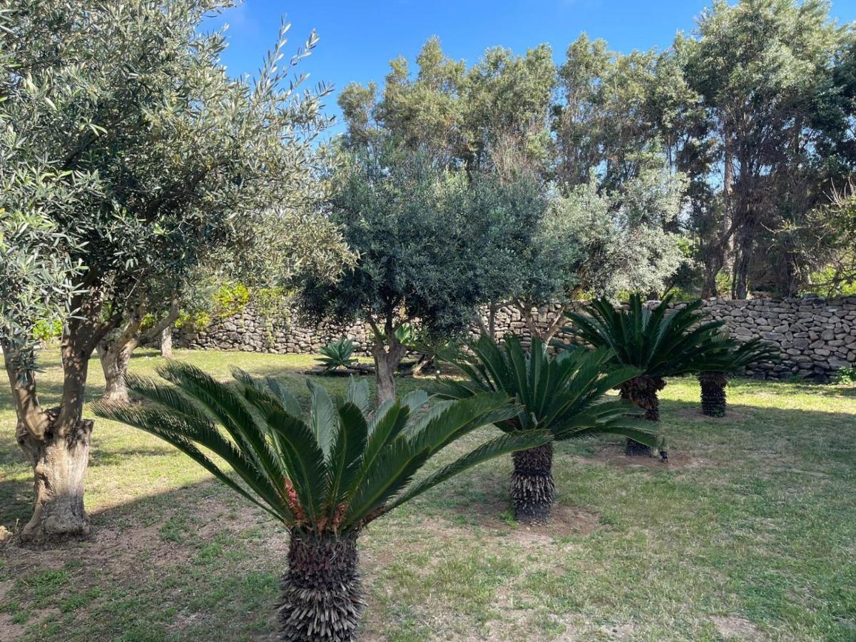 Calafato Guest House Favignana Luaran gambar