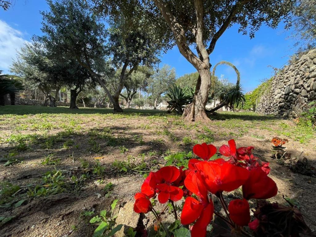 Calafato Guest House Favignana Luaran gambar